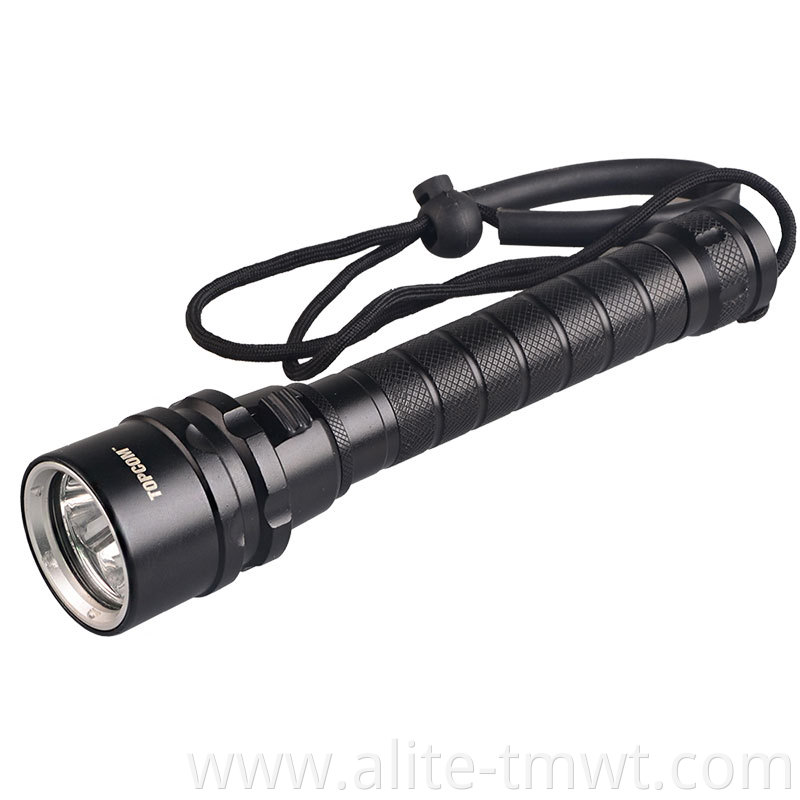 IP68 Underwater Black Light Flashlight Powerful 3LED 395nm Ultra Violet Diving UV Light